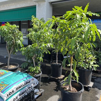 Ok Water - Water Purification Services Near Me - Garden Grove, California Ok Water - Water Purification Services Near Me - Garden Grove, California