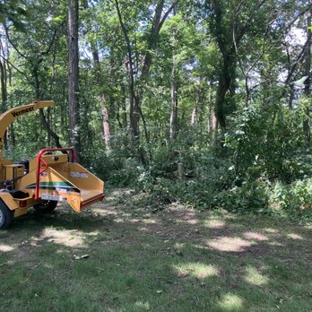 Dane County Tree Company - Tree Services Near Me - Sauk City, Wisconsin Dane County Tree Company - Tree Services Near Me - Sauk City, Wisconsin