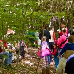 The Nature Museum - The Fairy House Festival trail.