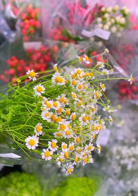 Trader Joe's by null