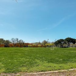Galvan Park - 2023