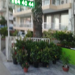 Yalı Çiçekçilik