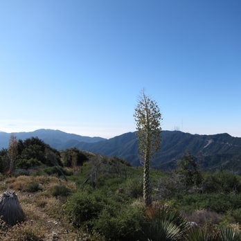 Mount Lawlor Via Red Box - Hiking Near Me - Arcadia, California