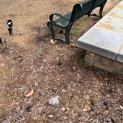 The Parkhouse @ Shady Trails - Trash