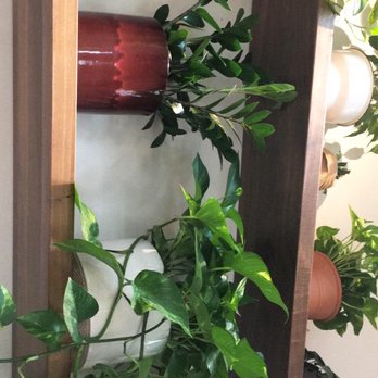 Hip Vegan - Vegan Near Me - Ojai, California