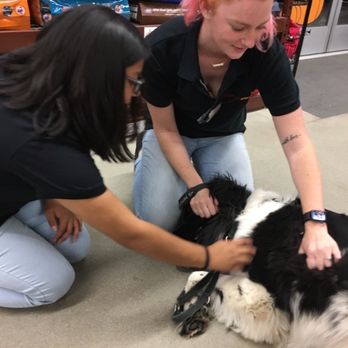 Pet Food Express - Pet Stores Near Me - Oxnard, California