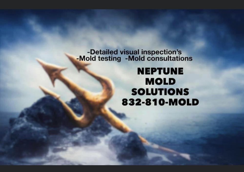 Neptune Mold Solutions - mold inspector in Houston, TX
