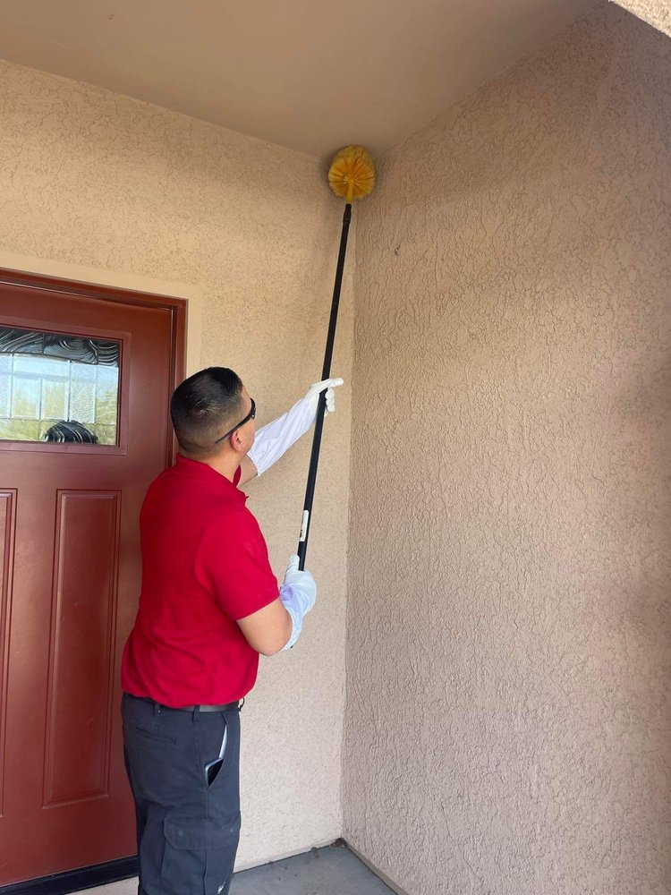 BUG STOP Updated August 2024 52 Photos 2312 W Paseo Cielo, Tucson