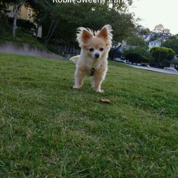 Robin Sweeny Park - Parks Near Me - Sausalito, California