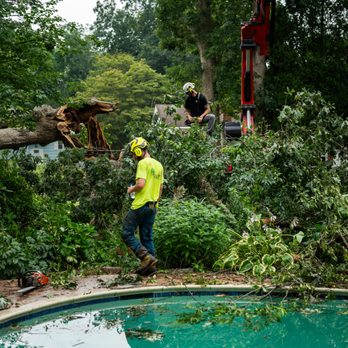 Green Valley Tree - Tree Services Near Me - Chaplin, Connecticut