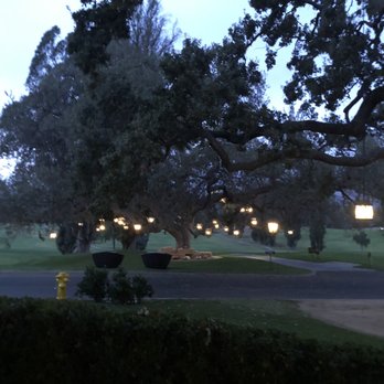 The Oak - 200-year old Oak tree - American Near Me - Ojai, California The Oak - 200-year old Oak tree - American Near Me - Ojai, California