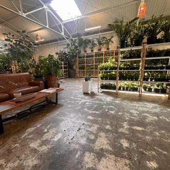 Eden Plant - Nurseries & Gardening Near Me - Houston, Texas Eden Plant - Nurseries & Gardening Near Me - Houston, Texas