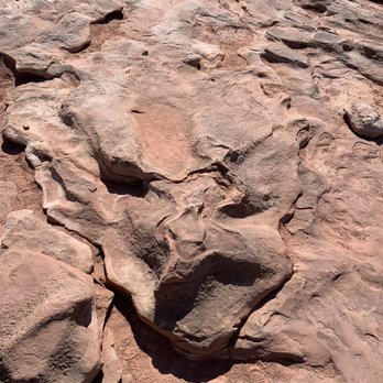 Dinosaur Tracks - Landmarks & Historical Buildings Near Me - Tuba City, Arizona
