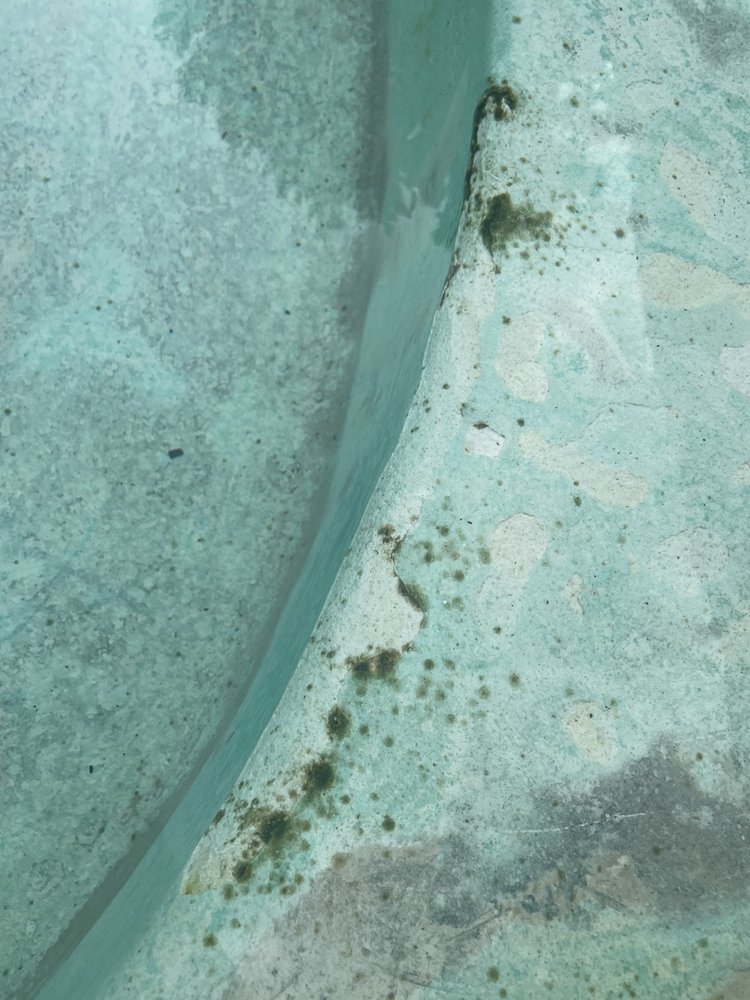 TEXAS LEISURE POOLS & SPAS Updated October 2024 51 Photos & 29 Reviews 836 W Pipeline Rd