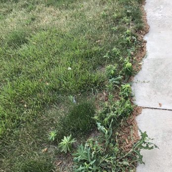 TruGreen Lawn Care - Tree Services Near Me - Plainfield, Illinois TruGreen Lawn Care - Tree Services Near Me - Plainfield, Illinois