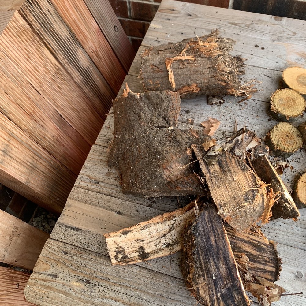 Affordable Tree Care - After I cut out what was left of roots, that I was able to at least. - Tree Services Near Me - Sturtevant, Wisconsin Affordable Tree Care - After I cut out what was left of roots, that I was able to at least. - Tree Services Near Me - Sturtevant, Wisconsin