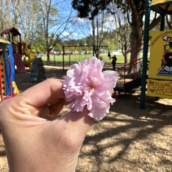 Depot Park - Spring - Parks Near Me - Issaquah, Washington