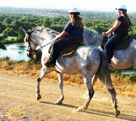 S&D Horseback Riding by null