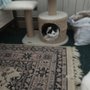 Photo of Lucky Pet Animal Hospital