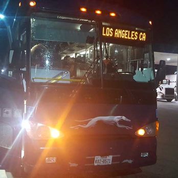 Greyhound Bus Lines - Buses Near Me - San Francisco, California