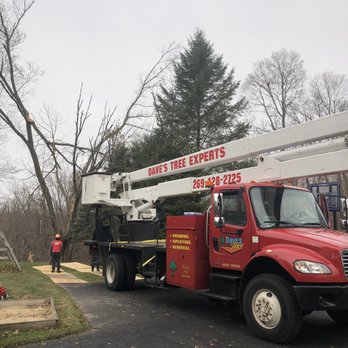 Dave's Tree Expert Company - Tree Services Near Me - St. Joseph, Michigan