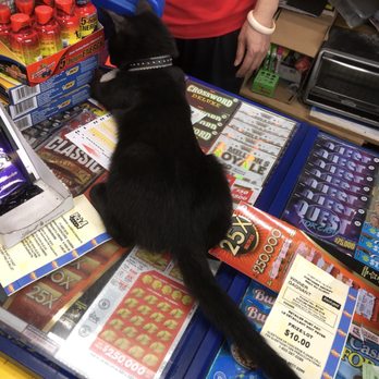 Donexing Market - Adorable!!!!!!! - Convenience Stores Near Me - Toronto, Ontario