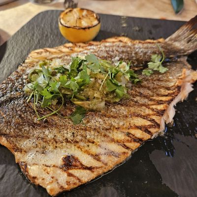 Florence Osteria & Piano Bar by null