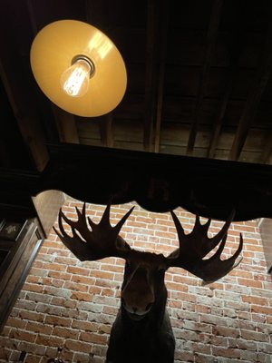 The Roosevelt by null