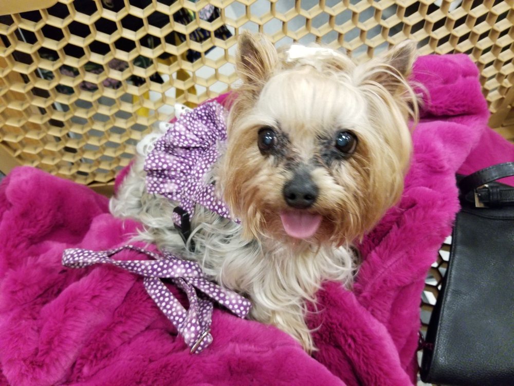 TJ MAXX 49 Photos & 22 Reviews 977 Valley Rd, Gillette, New Jersey