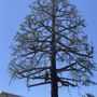 Photo of Lucero General Landscaping