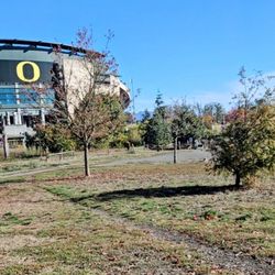 Alton Baker Dog Park - Right across from the University of Oregon.