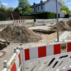Vogelsiedlung
