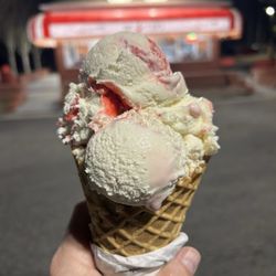 Bruster's Real Ice Cream - Small Waffle Cone
