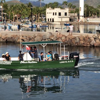 Blue Nation - Scuba Diving Near Me - Loreto, BCS Blue Nation - Scuba Diving Near Me - Loreto, BCS