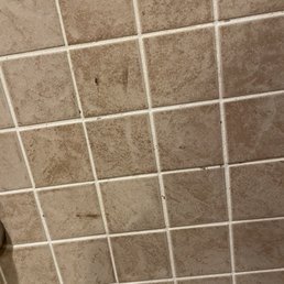 Poop on the wall in the ladies bathroom