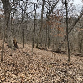 Russell E Emmenegger Nature Park - Along the Bluff Creek Trail - Parks Near Me - Kirkwood, Missouri Russell E Emmenegger Nature Park - Along the Bluff Creek Trail - Parks Near Me - Kirkwood, Missouri