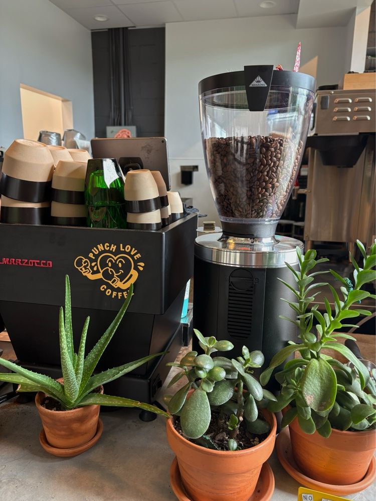 Punch Love Coffee Logo