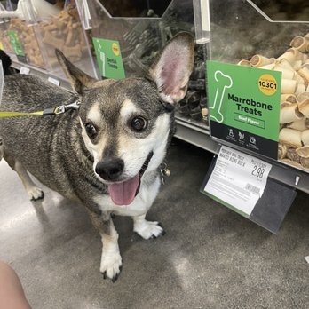 Pet Supplies Plus Katy East - Pet Groomers Near Me - Katy, Texas Pet Supplies Plus Katy East - Pet Groomers Near Me - Katy, Texas