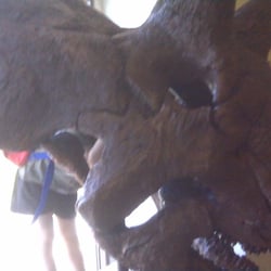 Academy of Natural Sciences - Providing the "roar!"