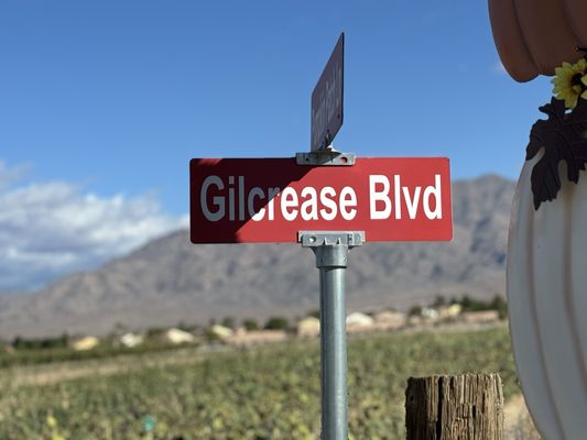 Gilcrease Orchard by null