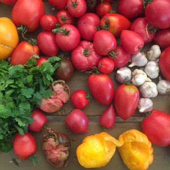 Marsh River - Yummy local tomatoes - Fruits & Veggies Near Me - Brooks, Maine Marsh River - Yummy local tomatoes - Fruits & Veggies Near Me - Brooks, Maine
