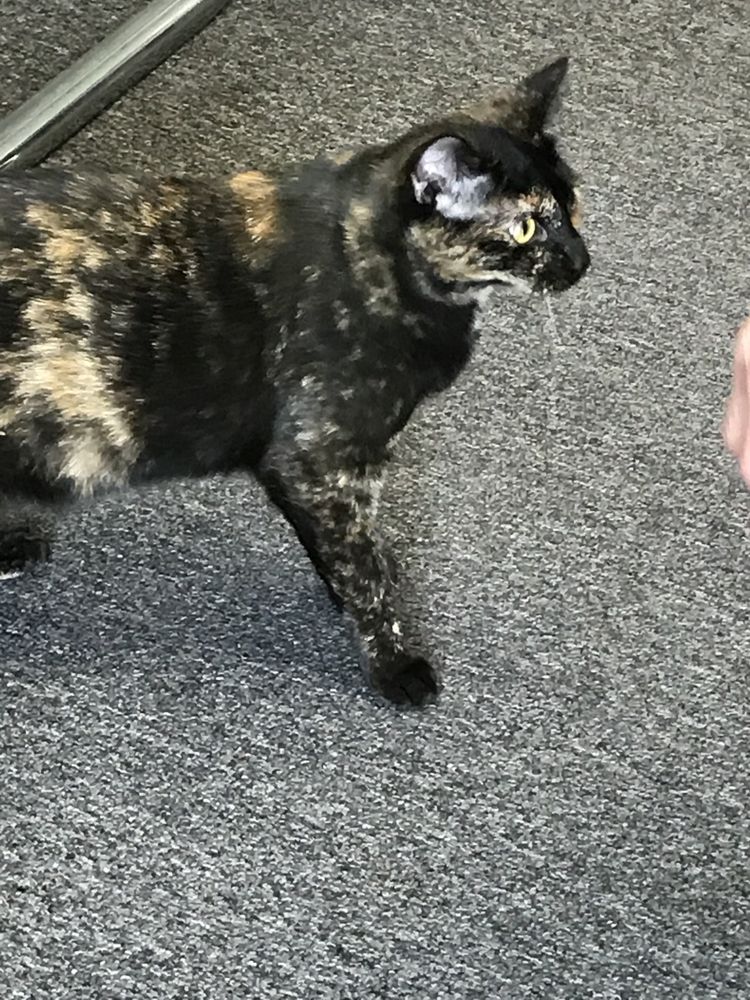 SULLIVAN CENTER FOR CHILDREN Updated September 2024 3443 W Shaw Ave