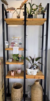 Cafe Mollie by null
