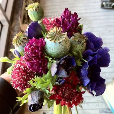 Marguerite Gardens Florist by null