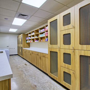 CAWLM Veterinary Hospital - Our cat ward is complete with beautiful custom cat towers, relaxing music, and separated from our canine patients. - Veterinarians Near Me - Houston, Texas CAWLM Veterinary Hospital - Our cat ward is complete with beautiful custom cat towers, relaxing music, and separated from our canine patients. - Veterinarians Near Me - Houston, Texas