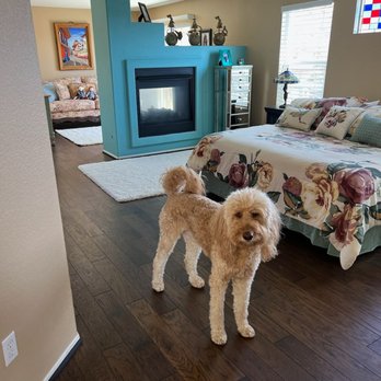 Felix Flooring & - Very happy with results. - Flooring Near Me - Murrieta, California Felix Flooring & - Very happy with results. - Flooring Near Me - Murrieta, California