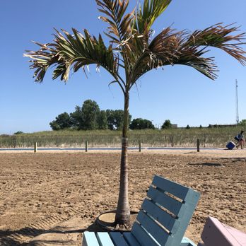 North Beach Park - Beaches Near Me - Racine, Wisconsin North Beach Park - Beaches Near Me - Racine, Wisconsin