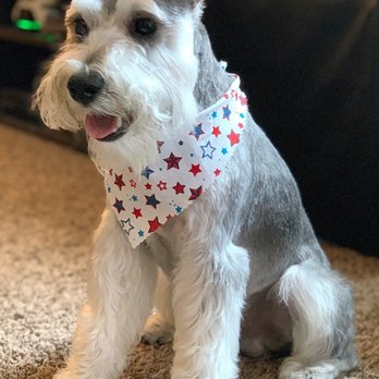 Nikki's Pet Spa - Pet Groomers Near Me - Norco, California Nikki's Pet Spa - Pet Groomers Near Me - Norco, California