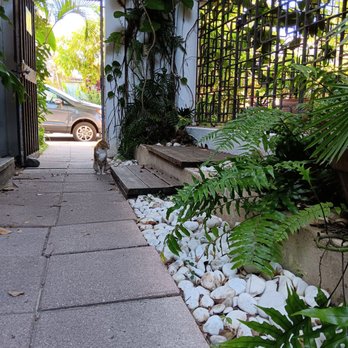 Dreamcatcher by DW - The path inside appears to be this one - Hotels Near Me - San Juan, Puerto Rico Dreamcatcher by DW - The path inside appears to be this one - Hotels Near Me - San Juan, Puerto Rico