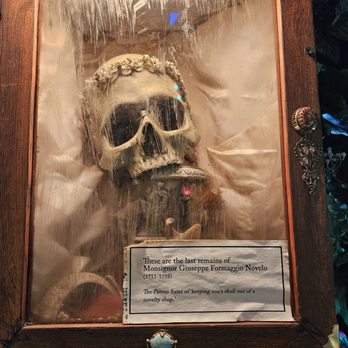 Freakybuttrue Peculiarium - Skull - Museums Near Me - Portland, Oregon